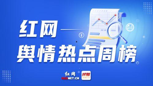 新闻如何爆料,揭秘新闻爆料背后的真相